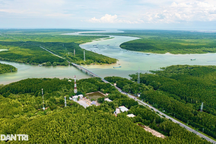 Khu đô thị lấn biển, cảng quốc tế Cần Giờ có tác động gì đến hệ sinh thái?