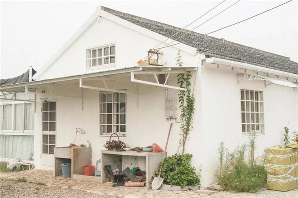 Cô gái dành hết tiền tiết kiệm về quê làm nhà vườn đẹp như cổ tích - 3 Cô gái dành hết tiền tiết kiệm về quê làm nhà vườn đẹp như cổ tích - 3