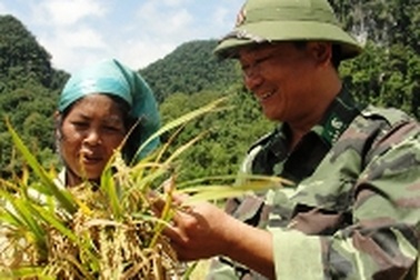 “Chuyện tình” giữa người rừng và lúa nước