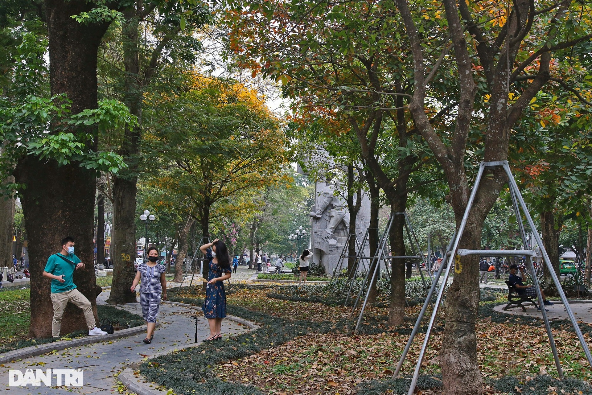 Hà Nội vàng rực trong mùa cây thay lá, giới trẻ đổ xô đi chụp ảnh - 6 Hà Nội vàng rực trong mùa cây thay lá, giới trẻ đổ xô đi chụp ảnh - 6