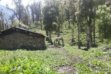 Cô gái Việt kể những điều lạ lùng ở đất nước "chẳng bao giờ cần khóa cửa"