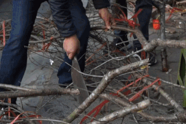 Ế hàng, tiểu thương Hà Nội chặt bỏ đào, tặng không quất để về quê ăn Tết