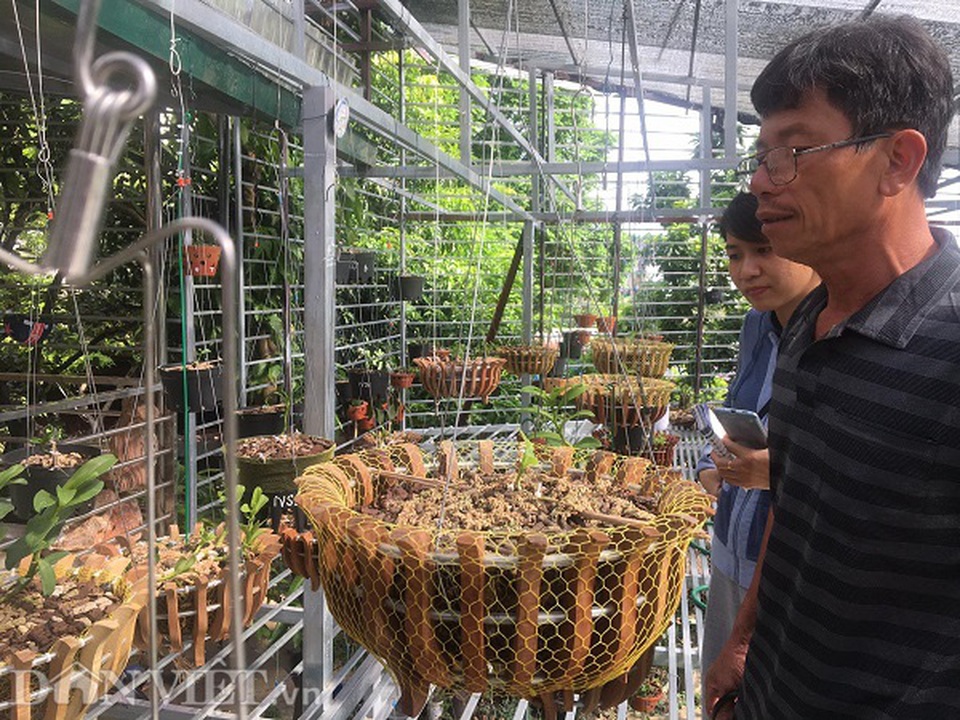 Chiêu lừa bán lan đột biến tiền tỷ quá tinh vi khiến dân chơi lan tán gia bại sản - 3 Chiêu lừa bán lan đột biến tiền tỷ quá tinh vi khiến dân chơi lan tán gia bại sản - 3