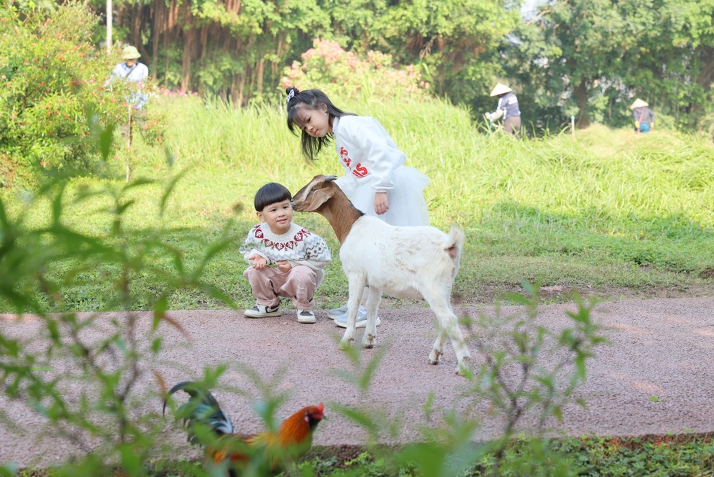 Hé lộ điểm đến trong mơ cho trẻ em dịp lễ 30/4 năm nay tại Nghệ An - 3 Hé lộ điểm đến trong mơ cho trẻ em dịp lễ 30/4 năm nay tại Nghệ An - 3