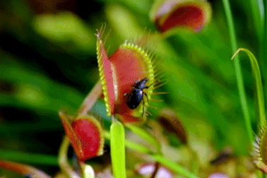 Thử sức với bài kiểm tra nhanh kiến thức khoa học tổng hợp (Kỳ 11)