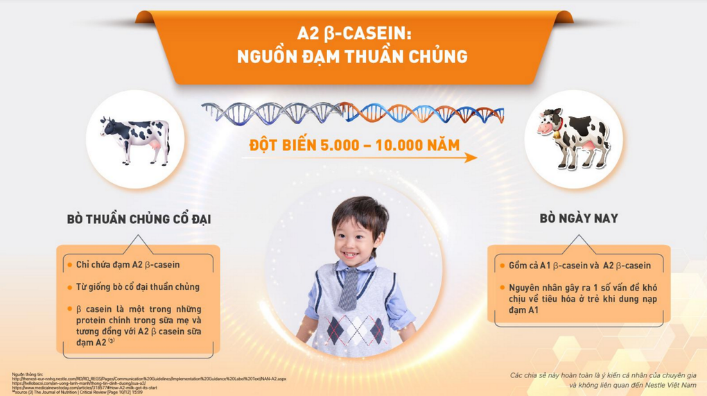 Những thành phần đáng đồng tiền mẹ cần quan tâm khi chọn sữa bột cho con - 2