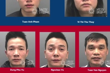 Cảnh sát Anh đột kích cơ sở trồng cần sa của người Việt