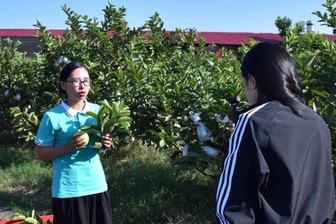 Hợp tác xã ở Hải Phòng livestream bán nông sản