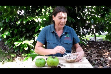 Hướng dẫn cách chế biến sinh tố hồng đen