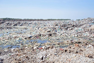 Lại phát hiện xác thai nhi lẫn trong rác thải