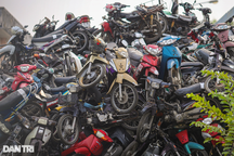 TPHCM đấu giá hơn 1.600 xe vi phạm, thu về gấp đôi giá khởi điểm