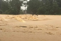 Hàng trăm hộ dân chạy lũ trong đêm