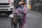 TPHCM và Nam Bộ mưa nhiều hơn vào cuối tuần
