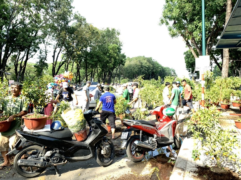 Thương lái mệt mỏi xả hàng, giá hoa tết nhiều nơi giảm 50-70% - 10 Thương lái mệt mỏi xả hàng, giá hoa tết nhiều nơi giảm 50-70% - 10