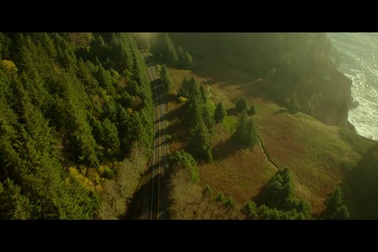 Trailer phim “Green Room” (2015) - một trong những bộ phim cuối cùng mà Anton Yelchin tham gia diễn xuất.