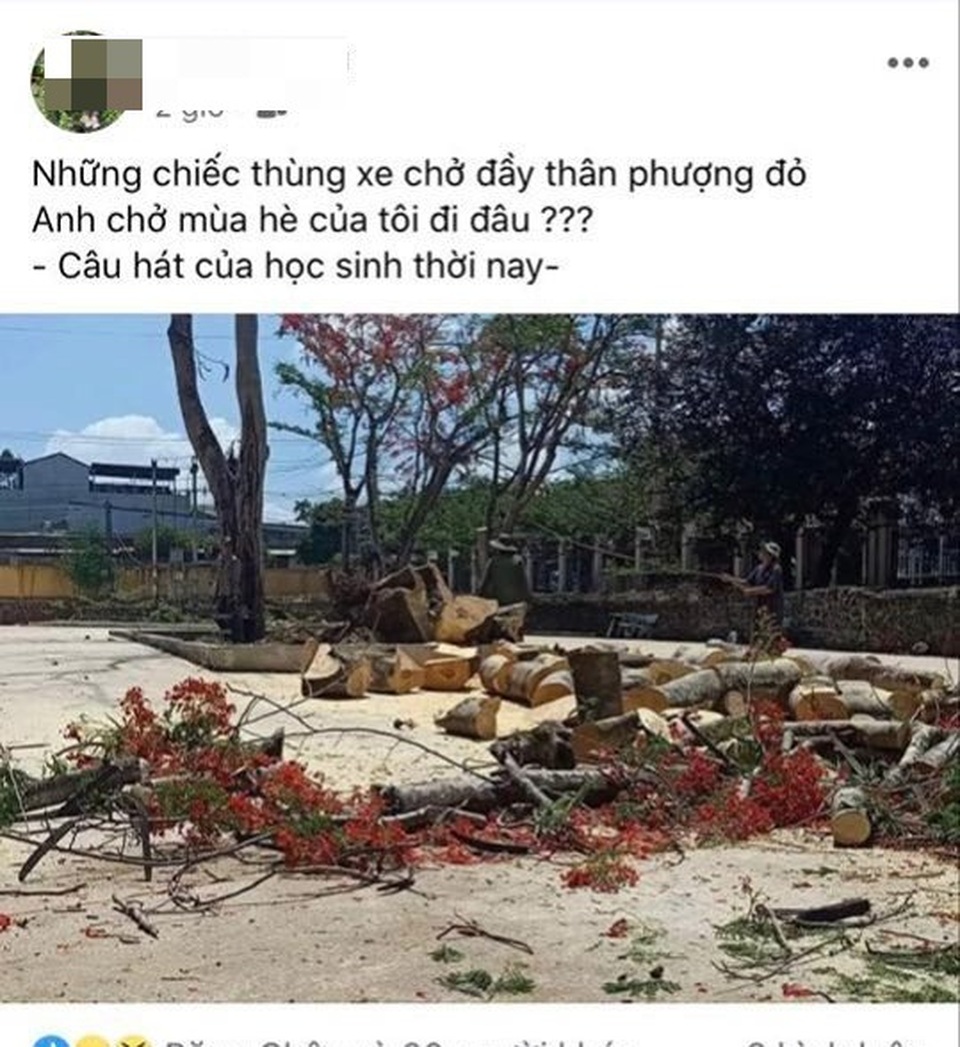 Cộng đồng mạng khóc thương phượng bị triệt hạ - 2 Cộng đồng mạng khóc thương phượng bị triệt hạ - 2