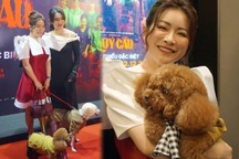 Kiều Linh dắt cún lên thảm đỏ, hé lộ về "mái ấm" cưu mang hơn 500 chú chó