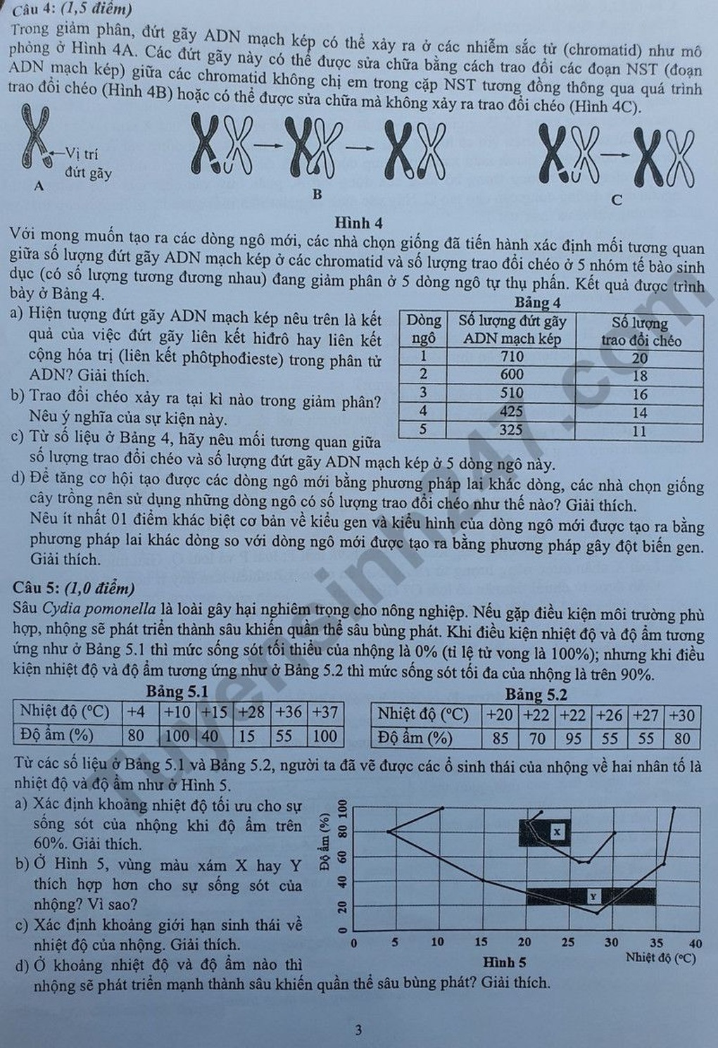 Đề thi môn Sinh dài 4 trang đầy thử thách để vào Chuyên Khoa học tự nhiên - 3