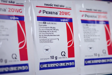 Pexena 20WG dạng cốm: Lựa chọn ưu việt cho nhà nông