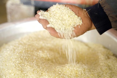 Ấn Độ cấm xuất khẩu gạo, cổ phiếu lương thực bứt phá