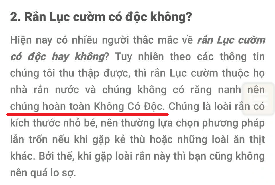 Loài rắn vô hại nhưng thường bị hiểu lầm là cực độc tại Việt Nam - 2 Loài rắn vô hại nhưng thường bị hiểu lầm là cực độc tại Việt Nam - 2