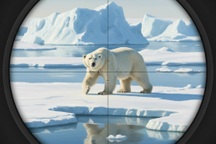 Tour săn gấu Bắc Cực 10 ngày giá 1,5 tỷ đồng gây tranh cãi