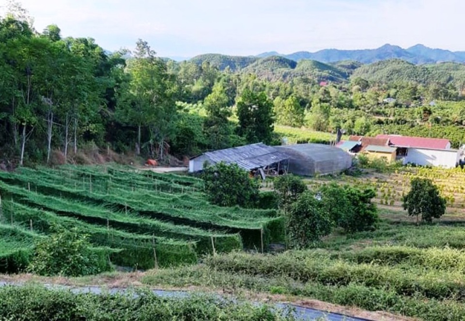 Người đi lên từ… thất bại - 1 Người đi lên từ… thất bại - 1