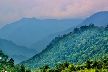 "Di sản sống" giữa đại ngàn