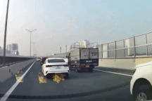 Xe bán tải luồn lách cực nguy hiểm, vượt bằng mọi giá trên đường cao tốc