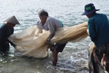 Quảng Ngãi: Theo chân ngư dân bãi ngang kéo trũ bắt cá