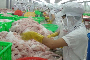 Hàng loạt doanh nghiệp Việt "sập bẫy" đối tác ngoại