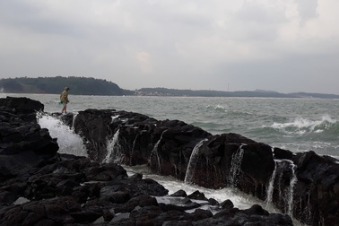 Đội sóng hái "lộc biển" trên đá nham thạch