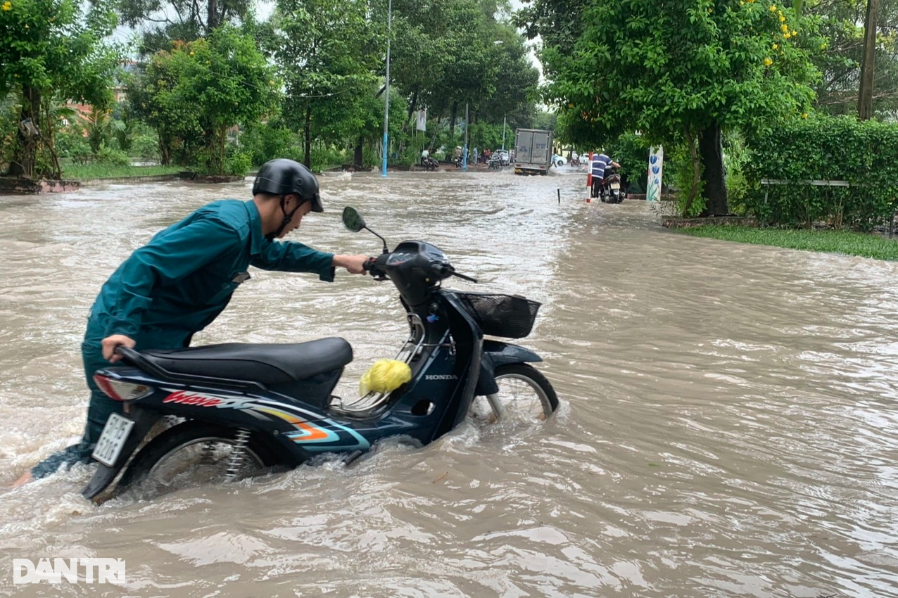 Đường biến thành sông, người dân tranh thủ thả lưới bắt cá - 9