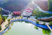 Dinh cơ “khủng” ở Yên Bái: “Bí thư tỉnh phải làm rõ để bảo vệ uy tín”