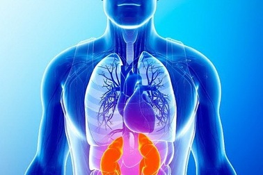 Ca cấy ghép thận vào vị trí lá lách đầu tiên trên thế giới