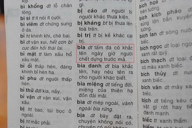 Tiêu hủy các cuốn từ điển có sai phạm của Vũ Chất