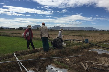 Nắng như "phang", đất "nứt toác", nước cạn khô... nông dân gồng mình chống hạn!