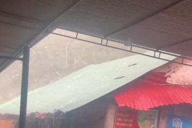 Mưa đá trắng trời ở các huyện biên giới Nghệ An