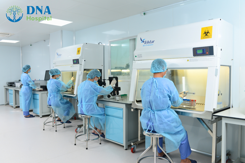 Bệnh viện Quốc tế DNA tăng cường hợp tác, nghiên cứu tế bào gốc - 1 Bệnh viện Quốc tế DNA tăng cường hợp tác, nghiên cứu tế bào gốc - 1