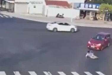 Clip cho thấy đôi khi con người còn không tuân thủ luật giao thông bằng... loài vật