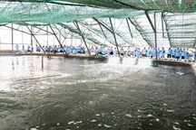 Phát triển du lịch ven biển hút khách ngắm điện gió, xem tôm công nghệ cao