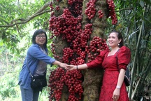 Phú Yên: Khai trương tuyến du lịch cao nguyên Vân Hòa