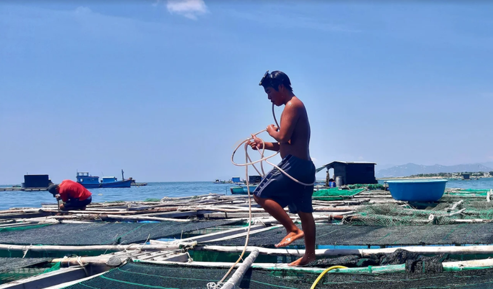 Về Ninh Thuận ra làng bè Đông Hải xem tắm cá - 4 Về Ninh Thuận ra làng bè Đông Hải xem tắm cá - 4