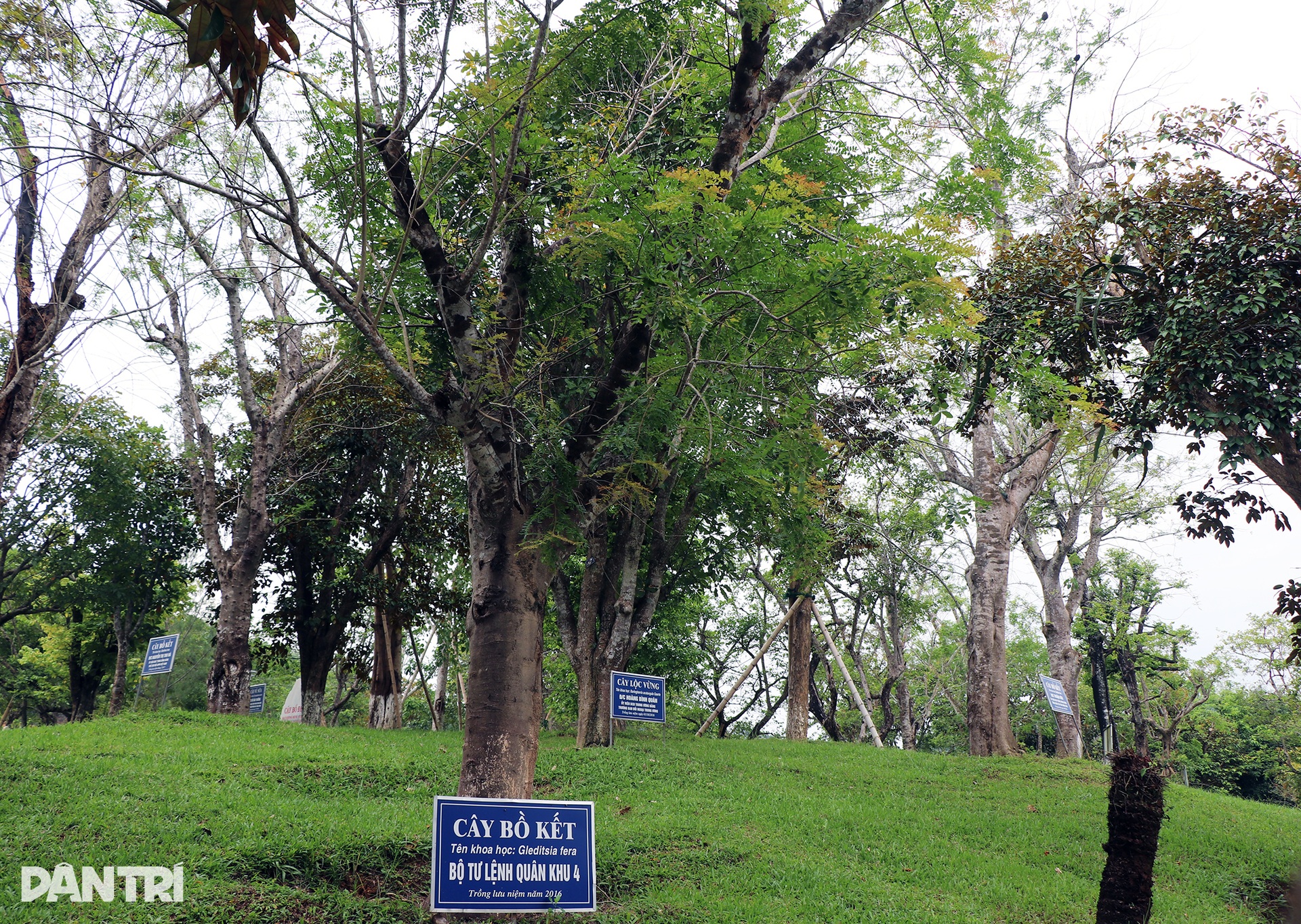 Tọa độ lửa Truông Bồn - nơi 13 TNXP viết nên huyền thoại bất tử - 13 Tọa độ lửa Truông Bồn - nơi 13 TNXP viết nên huyền thoại bất tử - 13