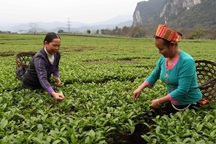 Sẽ có 49 giải thưởng trao cho các tác phẩm báo chí tiêu biểu viết về giảm nghèo