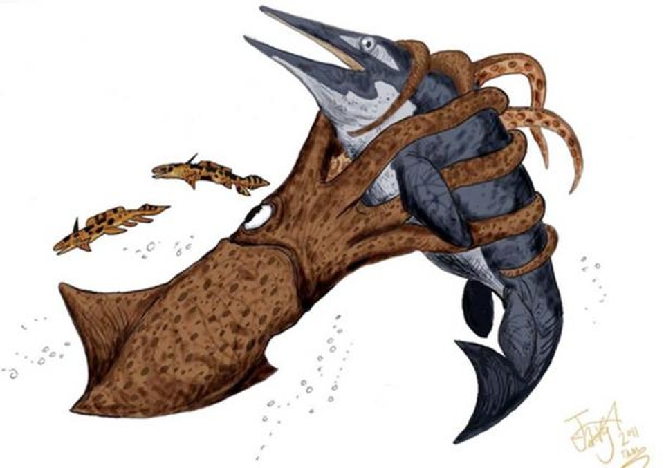 Quái vật Kraken huyền thoại có thực sự tồn tại? - 2 Quái vật Kraken huyền thoại có thực sự tồn tại? - 2