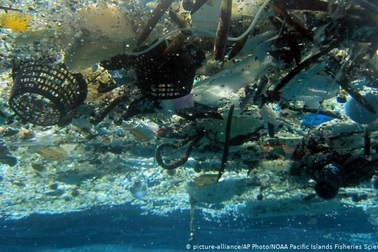 Rác thải nhựa trên biển – ai là thủ phạm?