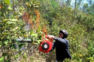 Trời nắng nóng, cảnh báo cháy rừng ở mức “nguy hiểm”