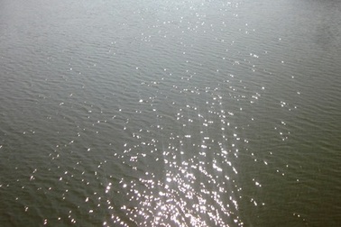 Tìm thấy thi thể 2 nạn nhân trong vụ nhảy cầu