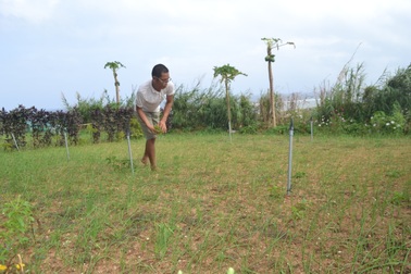 Quảng Ngãi:  Bỏ nghề cơ khí, chàng kỹ sư trẻ về đảo tiền tiêu trồng "vàng trắng"